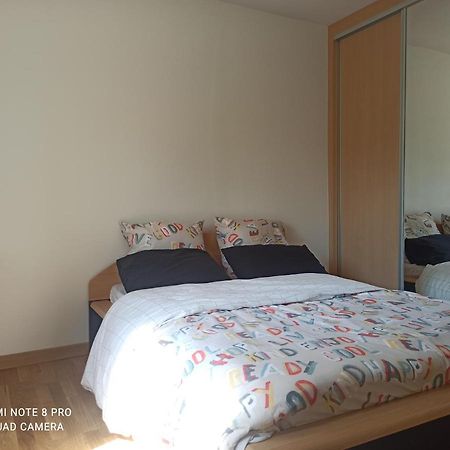 Super Appartement Avec Terasse Bischheim Exteriér fotografie